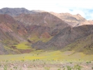 PICTURES/Death Valley - Wildflowers/t_Death Valley - Fields of Flowers1.JPG